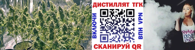ТГК THC oil  blacksprut онион  Ершов 