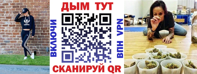 что такое Ершов Канабис сатива